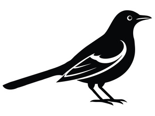 mockingbird vector icon in bold style on black color and white background.
