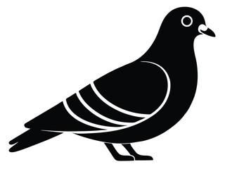 pigeon vector icon in bold style on black color and white background.