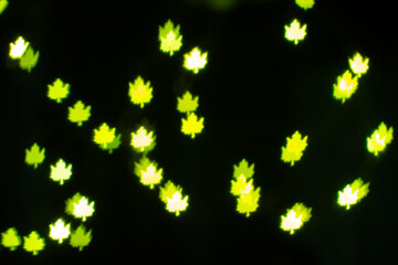 Colorful Green Leaf Lights Create a Magical Atmosphere in a Garden at Night