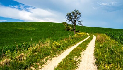 Obraz premium Country road through a green field under a partly cloudy sky
