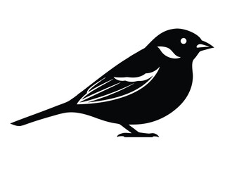 sparrow vector icon in bold style on black color and white background.