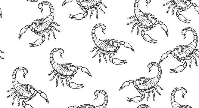 Scorpions Pattern Design.