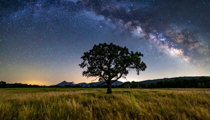 Milky Way over a field with a lone tree