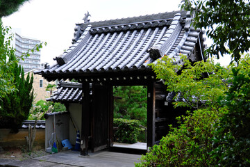Tranquil Japanese Temple Grounds: Traditional Architecture and Serene Gardens