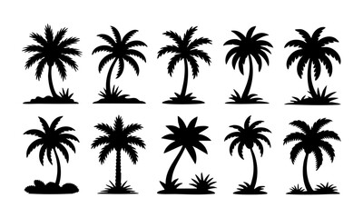 Fototapeta premium Palm Tree Silhouette Set Minimal Tropical Vector illustration Icons on White, t-shirt design elements, Silhouette tree, easily editable.