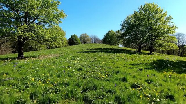 Seasonal transition timelapse from snowy winter to green spring on a barren hill, showcasing nature's renewal progress, story, spring