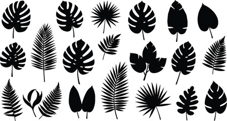 Tropical jungle leaves silhouette collection, exotic palm fronds and monstera plant foliage vector illustration for botanical design, nature decoration, summer background © Momotaj Contributor