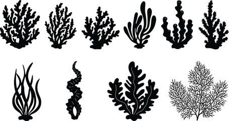 Seaweed silhouette set, marine plant icons, ocean vegetation, underwater foliage, vector illustration, botanical shapes, aquatic design, coastal nature elements