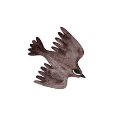 Watercolor stylized bird. Stylized flying brown bird with eye isolated on white background.