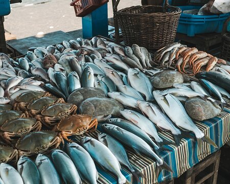 Fresh seafood display at outdoor market with fish and crabs - Powered by Adobe