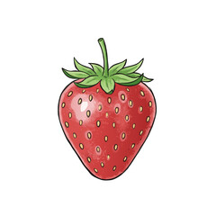 Strawberry Vector Illustration 