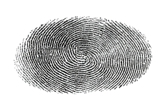 Fingerprint pattern