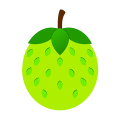 Stylized green fruit with leafy crown and seed impressions