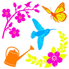 butterflies and flowers