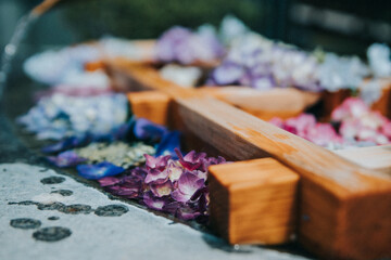 dried lavender flowers