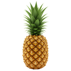 Fototapeta premium A single pineapple isolated