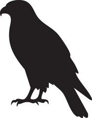 hawk silhouette vector