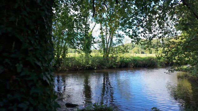 Pretty secluded woodland surrounding the River Maine near Cullybackey in Northern Ireland. A peaceful and verdant landscape scene perfect for active lifestyle themes, meditation, mindfulness