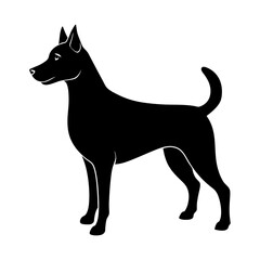 Dog standing alert, silhouette