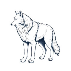 Fototapeta premium Stylized Wolf Illustration with Blue and White Outline detail background isolated on a transparent background