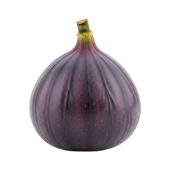 A single, plump, deep purple fig with a dark brown stem, isolated on a transparent background with copy space, soft diffused studio light, close-up. Concept of premium quality and natural sweetness