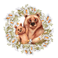 Hand-drawn illustration of cute adult bear and cub surrounded by cheerful daisies. © Gribanessa