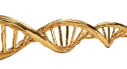 Molten gold DNA double helix, highly polished, reflective, subtly iridescent, dynamically spiraling against transparent studio background with copy space, soft shadows. Concept of infinite