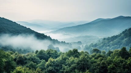 landscape, misty mountains, lush forest, rolling hills, atmospheric, moody, serene, tranquil, natural, outdoor, dreamlike, cinematic, digital art

