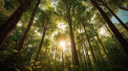dense lush forest, towering trees, sunlight streaming through foliage, verdant undergrowth, magical woodland atmosphere, cinematic lighting, dramatic scale, intricate details, vibrant colors, hyperrea