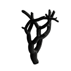 Deep obsidian black calcified branch of ancient desert flora, gnarled, textured, angular, isolated against transparent studio background with ample negative space, sculptural elegance and still