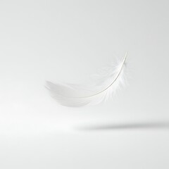 Obraz premium Floating Feather White Isolated Delicate Lightness