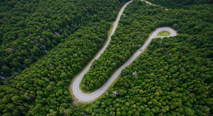 Forest winding road aerial view