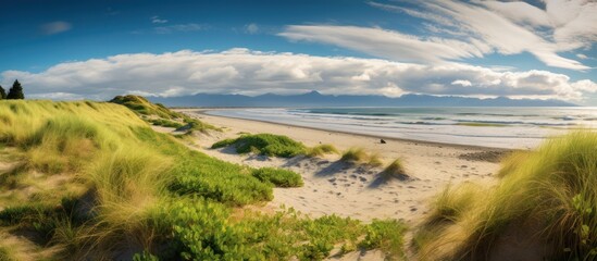 detailed panoramic coastal landscape, rolling grassy hills, rocky coastline, overcast sky with dramatic cloud formations, idyllic seaside scene, picturesque nature, moody atmospheric lighting, cinemat