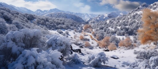 a beautiful winter landscape, snowy mountains, icy forest, soft lighting, dramatic clouds, peaceful atmosphere, enchanting scenery, cinematic perspective, highly detailed, photorealistic, masterful co