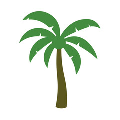 Tropical Banana Tree