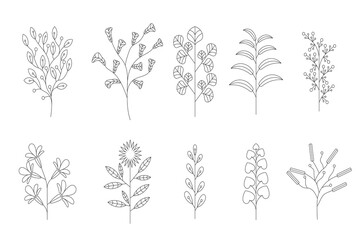 Floral branch. Hand drawn wedding herb, plant and monogram with elegant leaves for invitation save the date card design. Botanical rustic trendy greenery vector