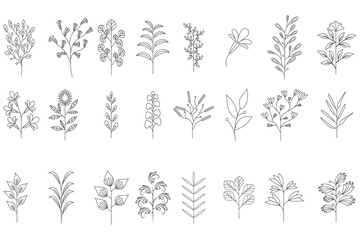 Floral branch. Hand drawn wedding herb, plant and monogram with elegant leaves for invitation save the date card design. Botanical rustic trendy greenery vector