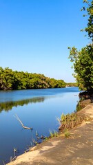 Calm riverbanks with lush vegetation
