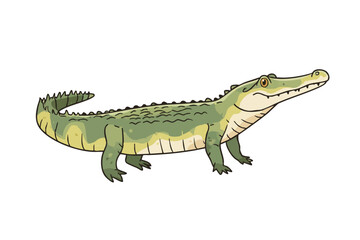 Obraz premium Cartoon Style Detailed Alligator Standing Profile Reptile Animal Illustration