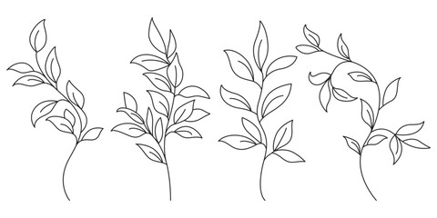 Obraz na płótnie Canvas Leaves Branch Set Trendy Line Art Style. Floral Line Art Drawing Collection for Poster, Print, Social Media, Wallpaper, Greeting Card. Leaves Minimalist Illustration Set Hand Drawn Vector Illustration