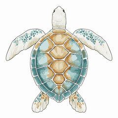 Fototapeta premium Watercolor Detailed Sea Turtle with Turquoise Shell Animal Illustration