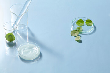 Minimal composition with Centella leaves arranged inside petri dishes, supported by clean blue tones to evoke freshness and scientific clarity. Space for design