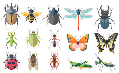 Set of flat vector illustrations of insects