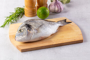 Raw fresh uncooked dorada fish