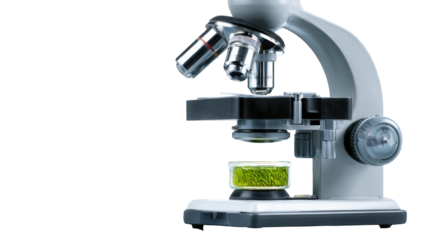 A light gray microscope focuses on a small container with green plant material