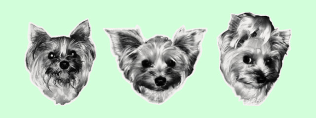 A dog head for a collage. A set of puppies with expressions, paper scraps with jagged edges, and pets cut out from a magazine. A collection of halftone style dogs. Contemporary collage art, vector.