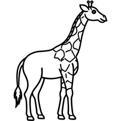 Giraffe Standing Outline Vector