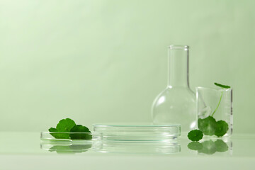 Front view of laboratory glassware and Centella leaves on a soft green background, balancing natural freshness and scientific precision in one frame. Space for design, natural centella ingredient