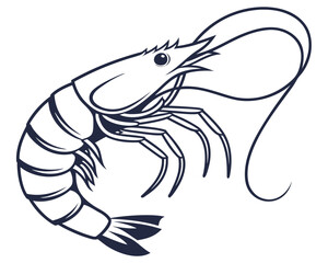 shrimp vector illustration
