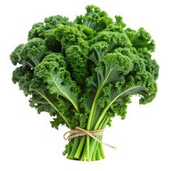 Bunches of vibrant green kale isolated on transparent background